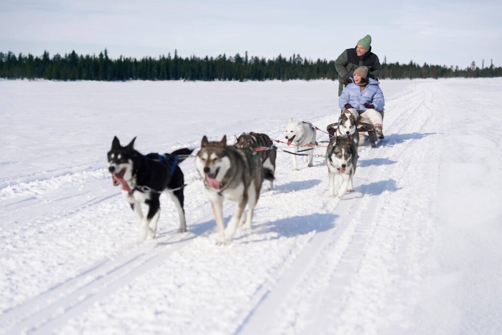 Sled being pulled by snow dogs in Lapland 