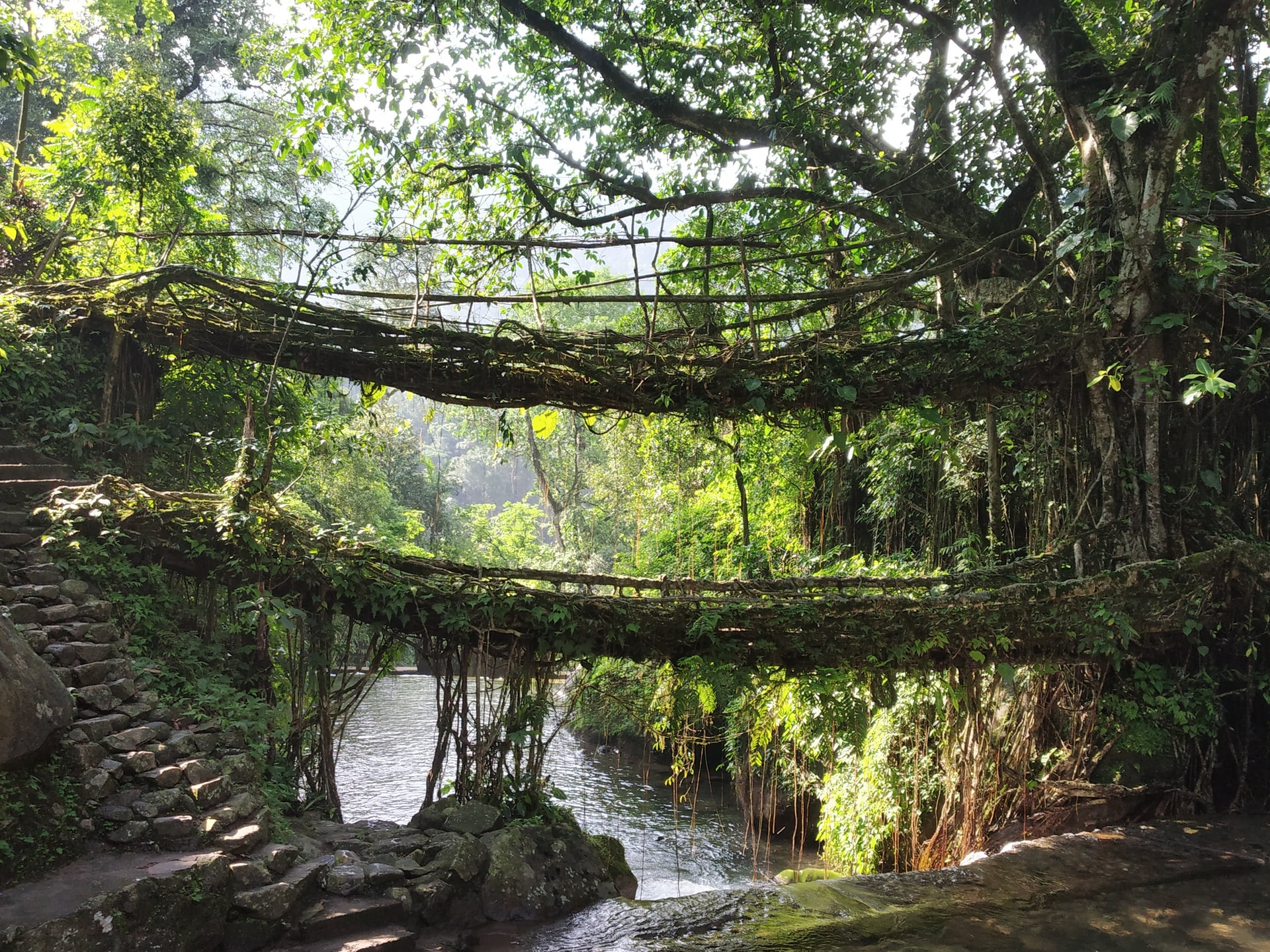 Cherrapunji, India © Savaari