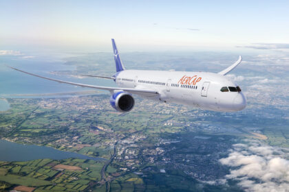 AerCap wins right to claim $1 billion insurance payment