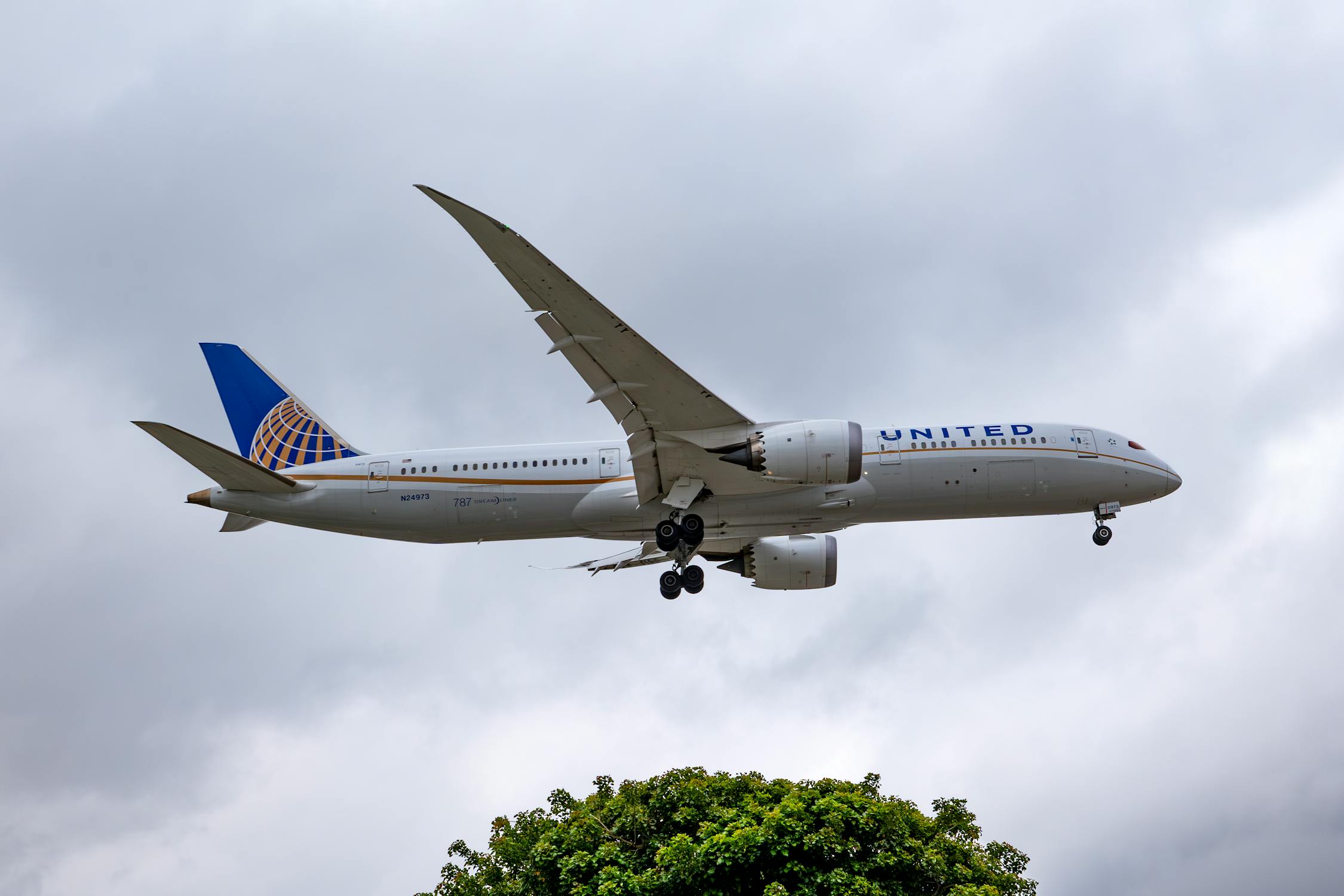 A photo of a United Airlines Boeing 787 Landing at LAX