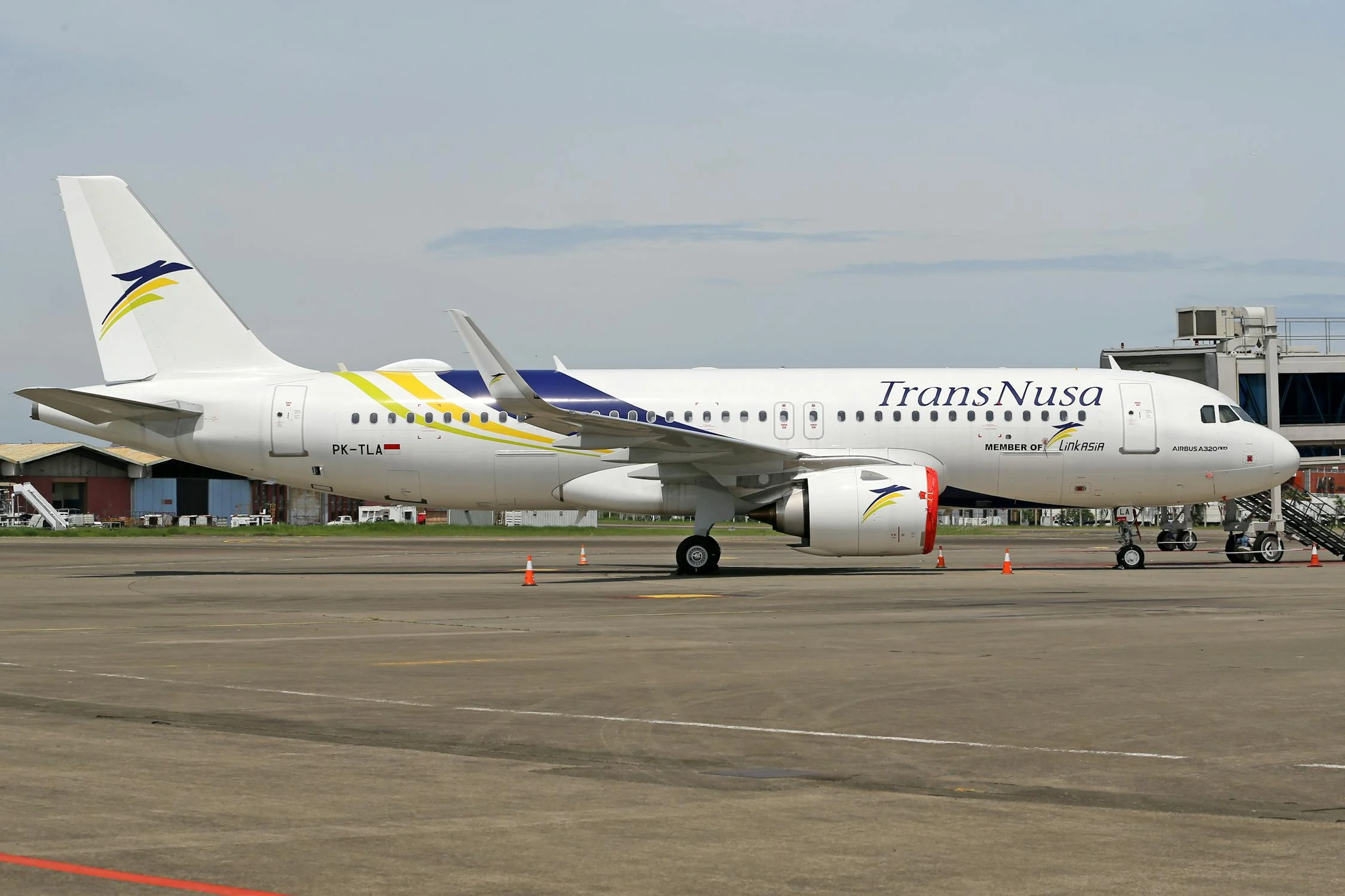 A photo of TransNusa Airplane on tarmac