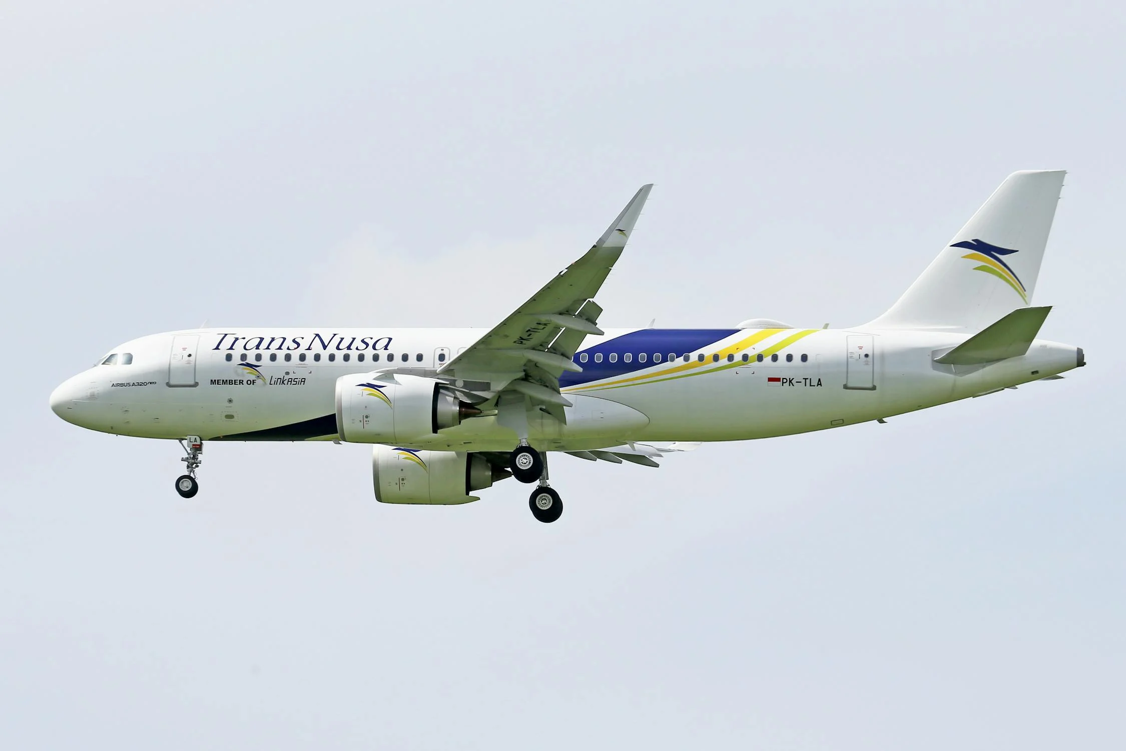 A photo of TransNusa Airplane mid-flight