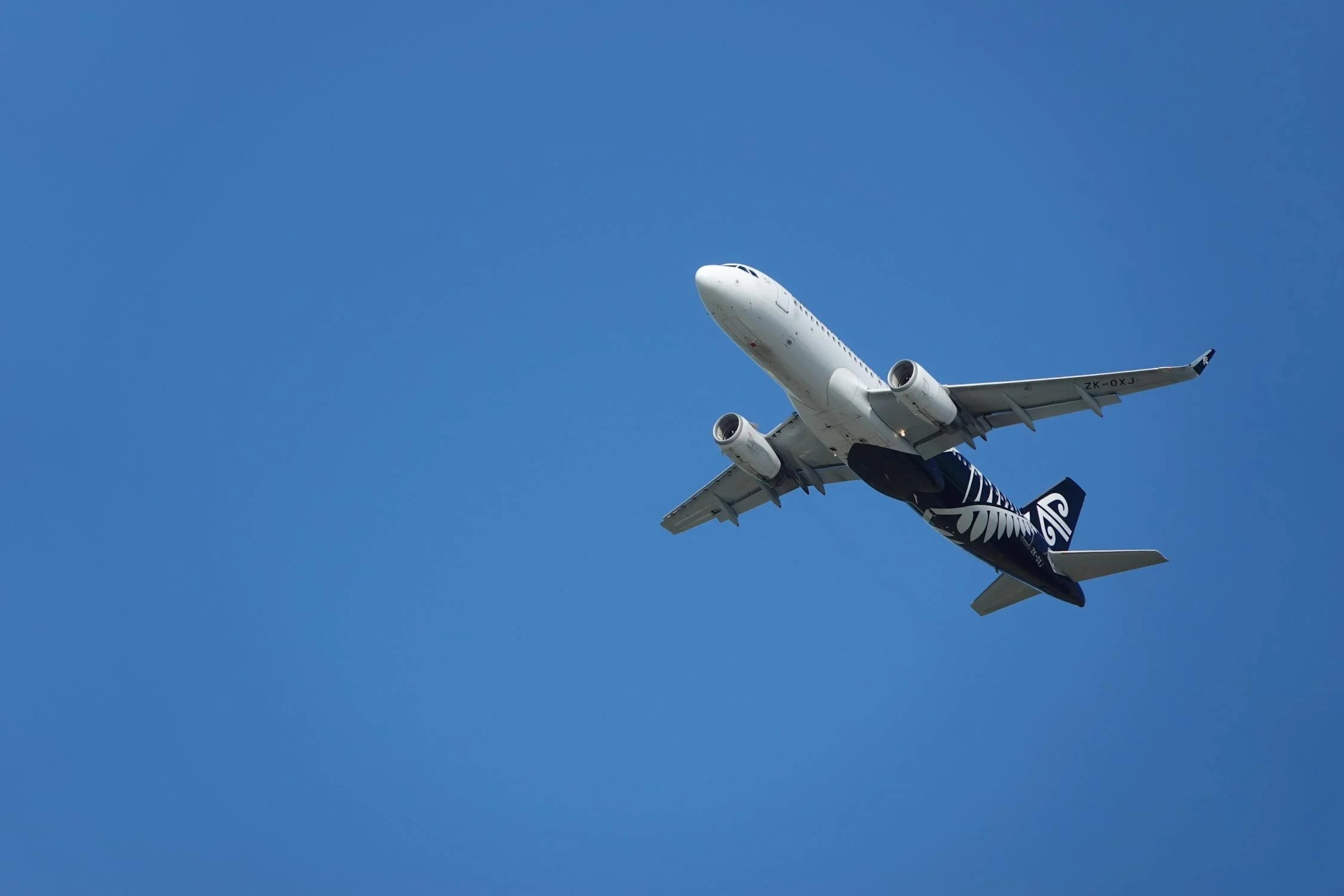 A photo of an Air New Zealand Airplane in flight