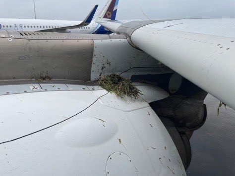 The side of the plane is covered in dirt and grass after veering off the runway.