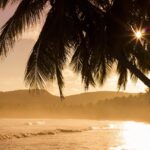 Sunset over a tropical beach destination with gentle waves, palm trees, and distant hills under a golden sky.