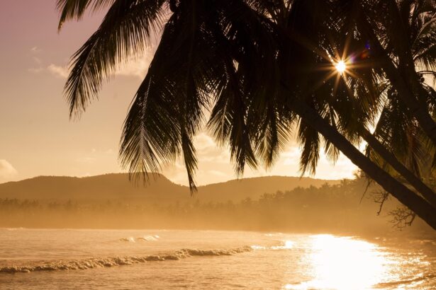 Sunset over a tropical beach destination with gentle waves, palm trees, and distant hills under a golden sky.