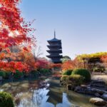 Japan in Autumn