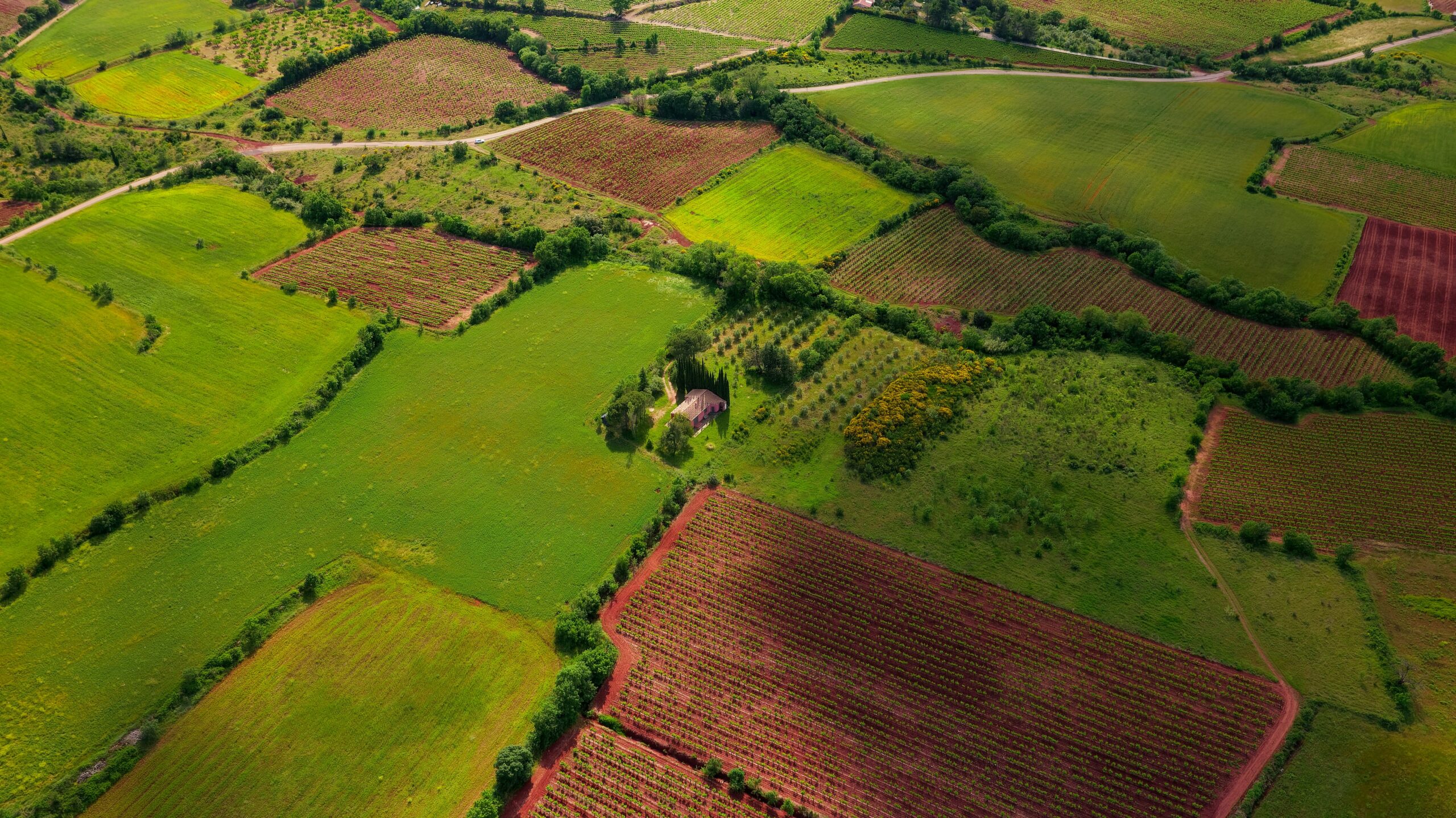 An aerial view of a rural landscape featuring various agricultural fields with different shades of green and brown. A small house surrounded by trees is located near the center of the image, amidst the fields.