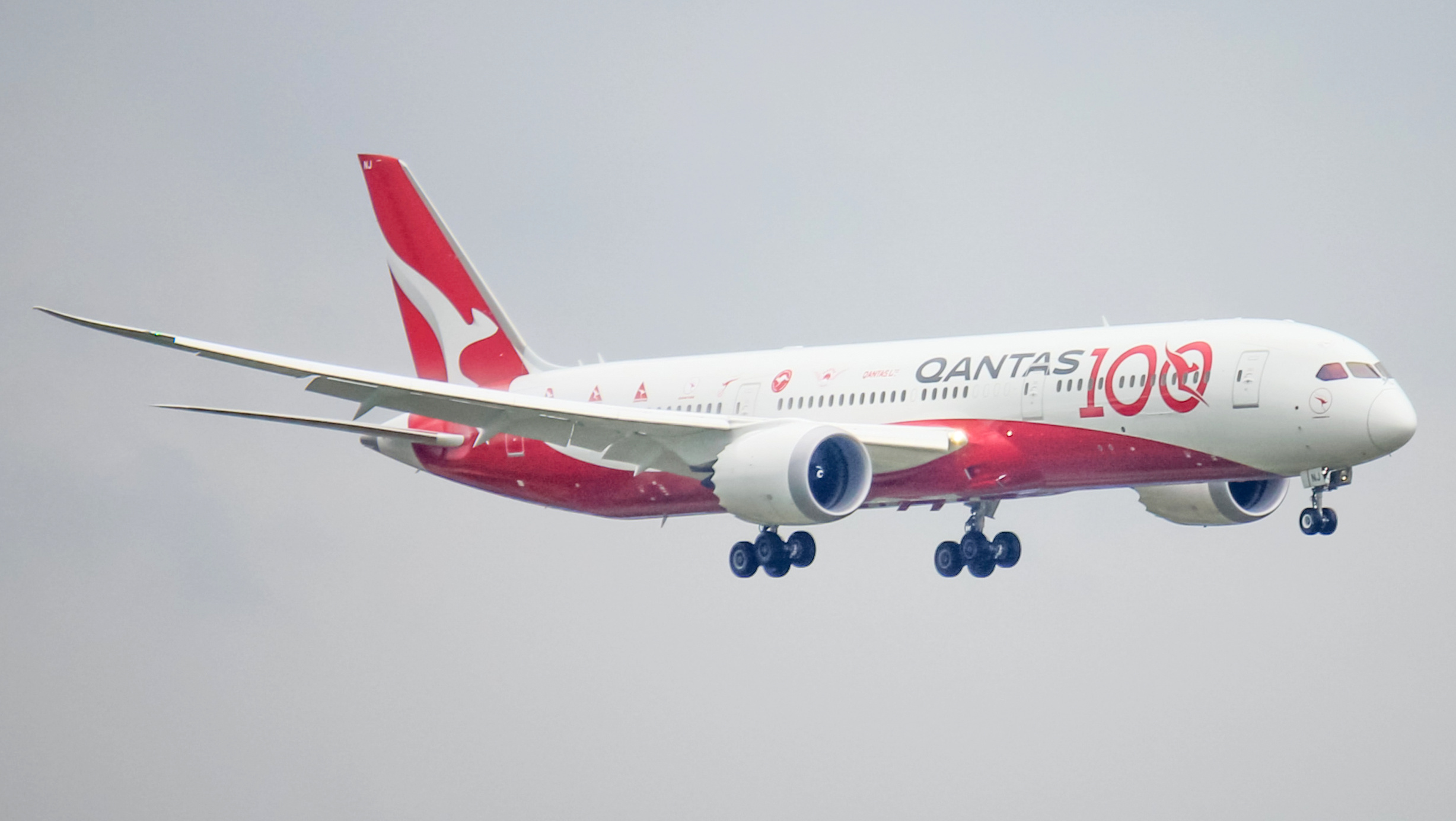A Qantas plane coming in for landing which is decorated in a special livery for the airline's 100th anniversary.