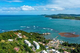 Aerial View of Coastal Town with Lush Greenery in Dominica
