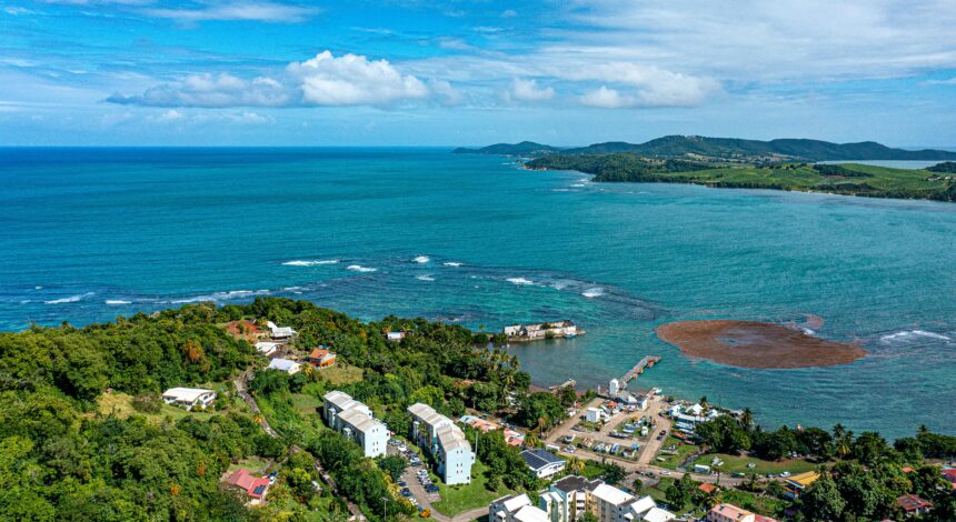 Aerial View of Coastal Town with Lush Greenery in Dominica