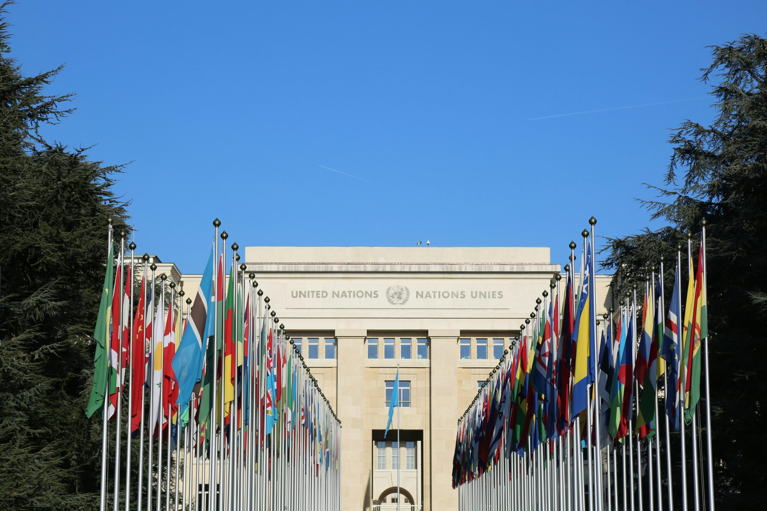 UN Building with Rows of Flags from Around the World 