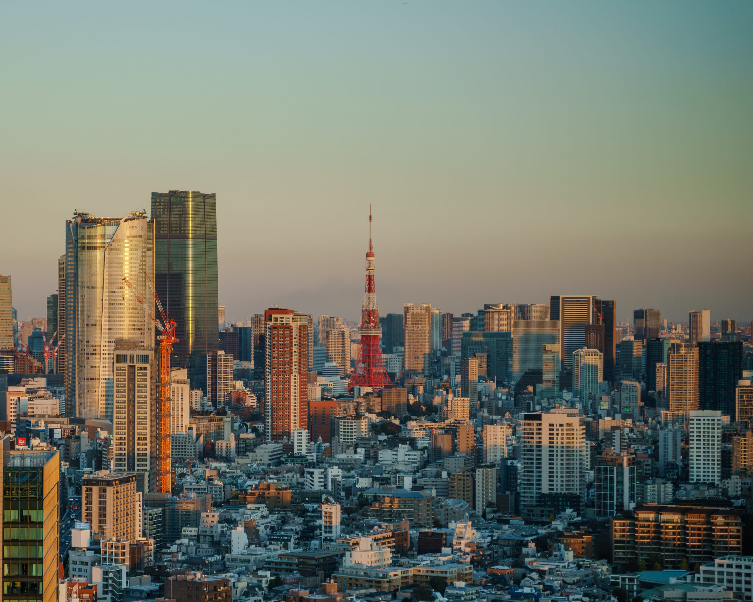 A view of Tokyo's skyline at dusk with Tokyo Tower visible.