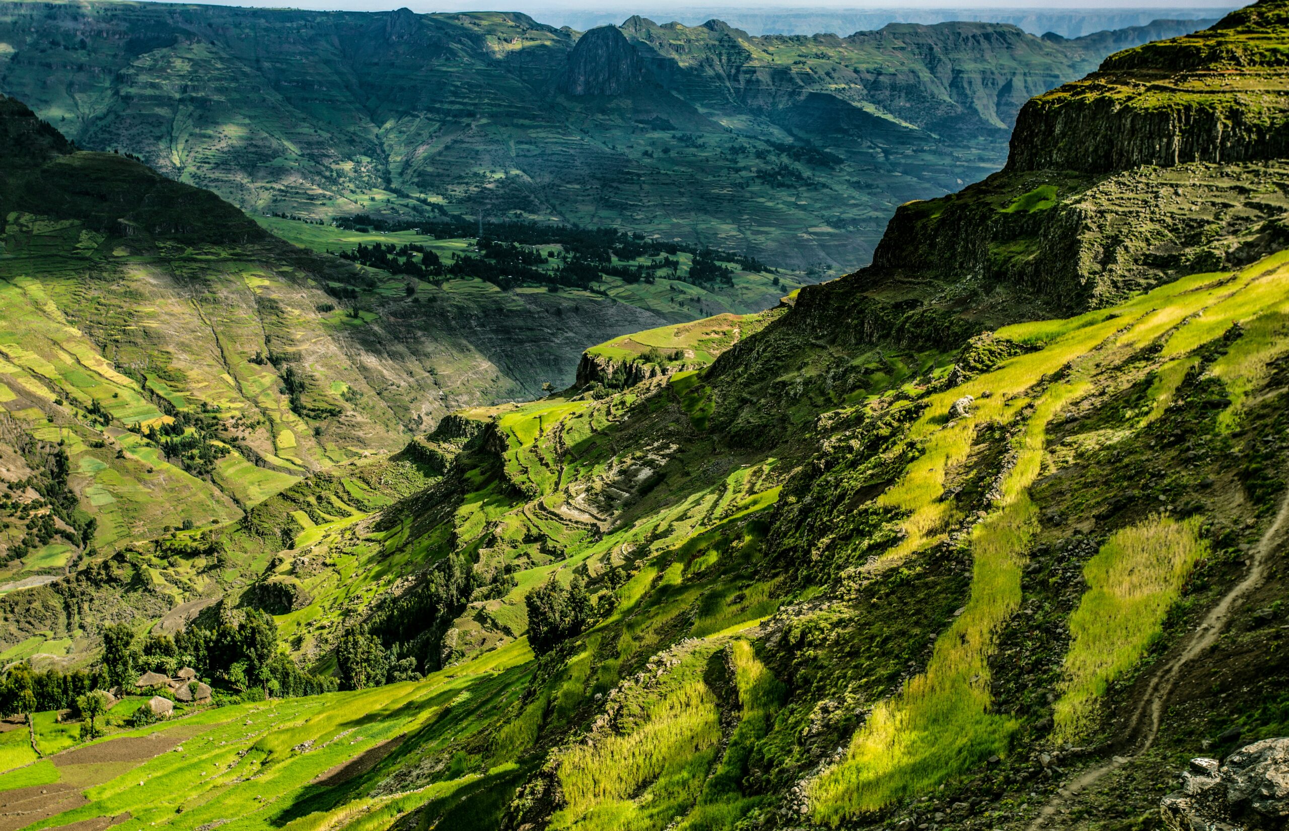 A vast green valley in showcasing Ethiopia's nature
