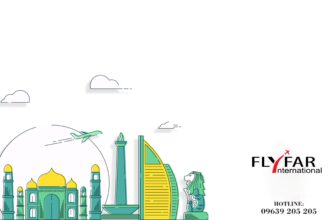 Fly Far International © graphics image via LinkedIn