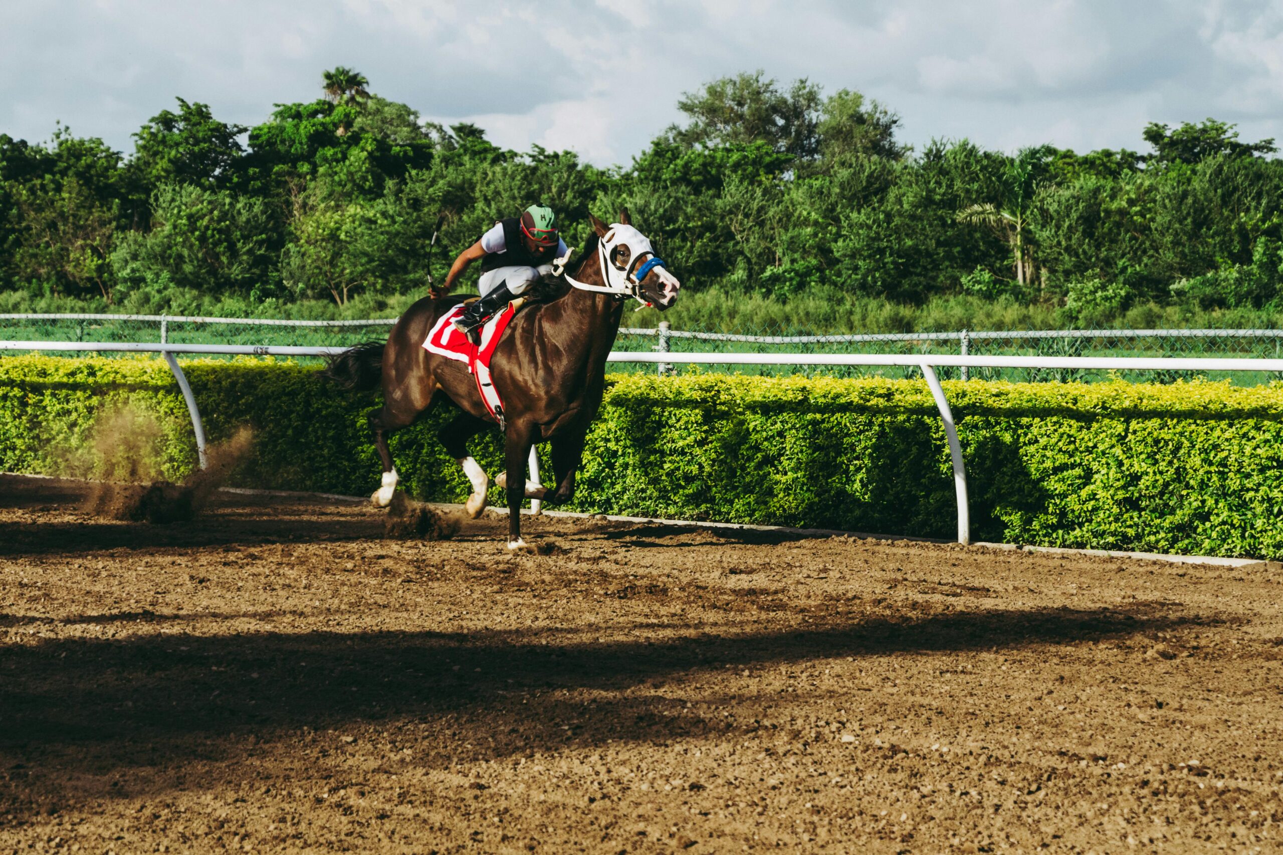 Man racing on a brown horse 