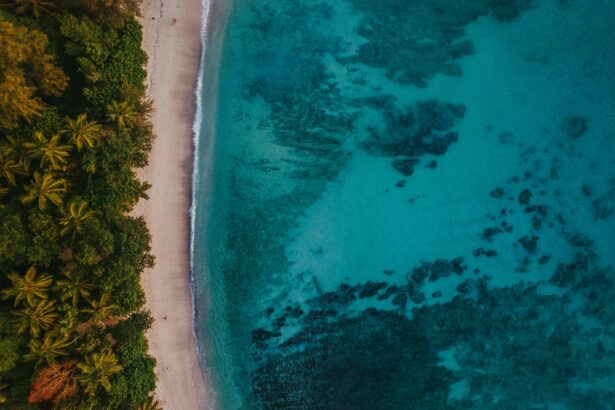 Aerial Photo of the Beach