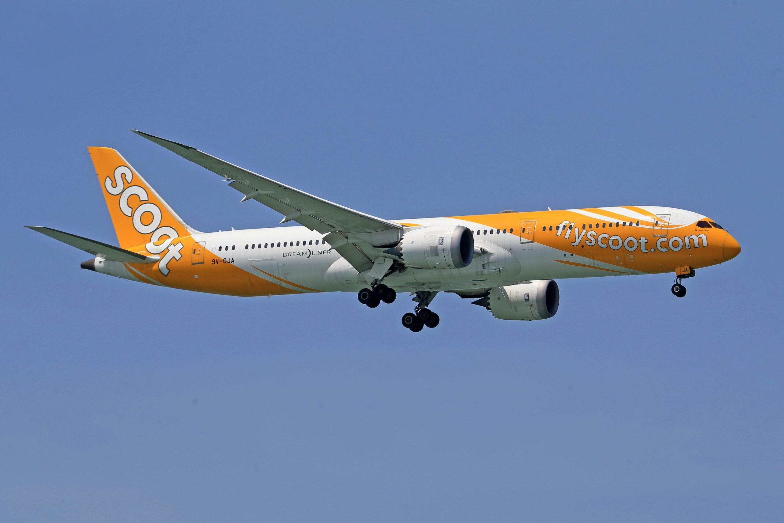An orange and white scoot plane high in the air with a blue sky in the background and landing gear deployed.