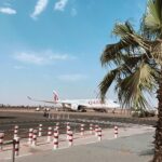 Qatar Airways aircraft with a palm tree in the foreground