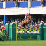 A horse jumping over a hurdle at a Dublin Horse Show
