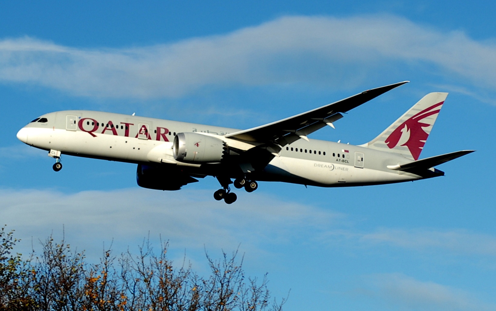 Qatar Airways B787