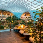 Green airport lounge