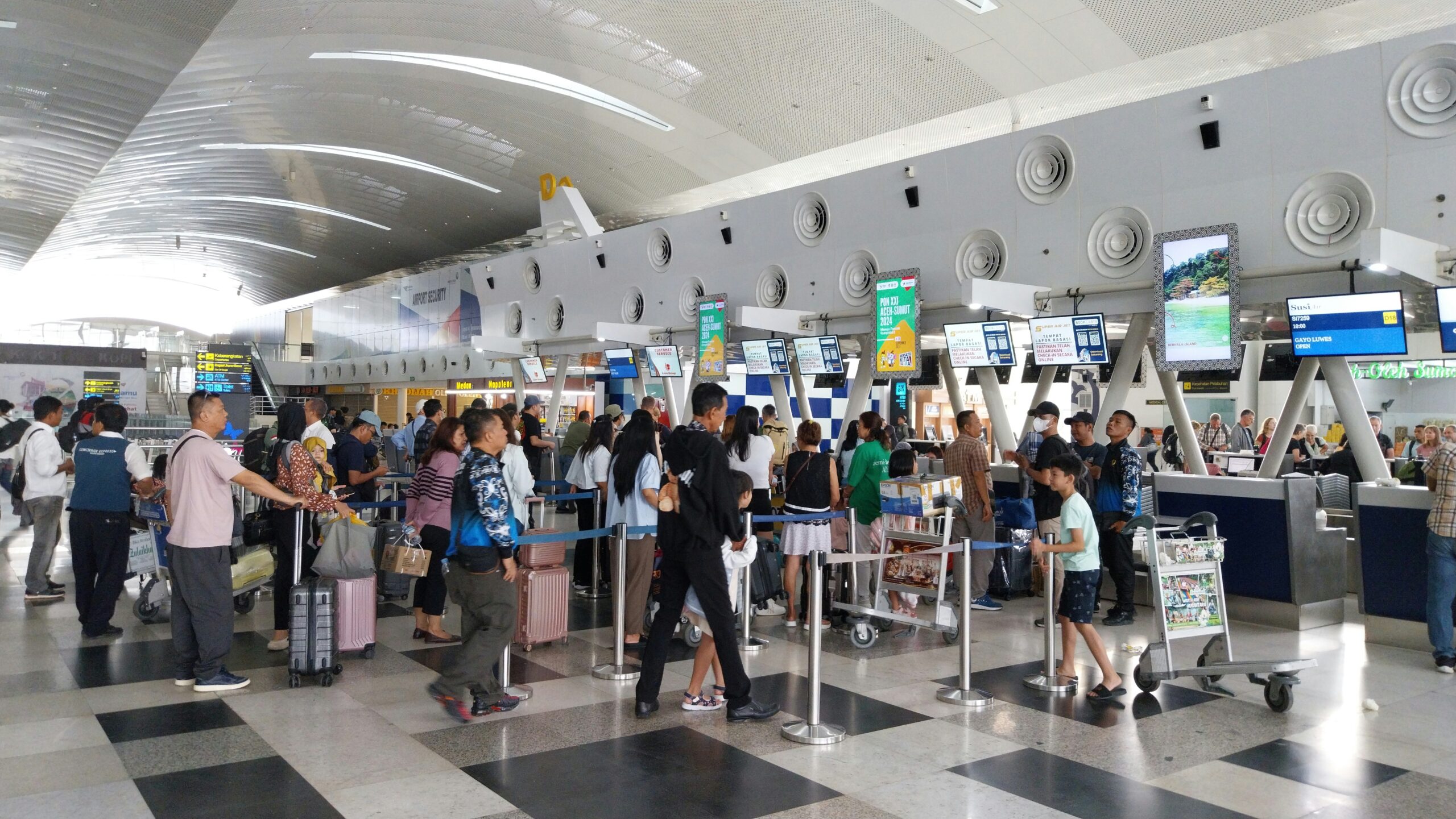 Queue at Airport Check