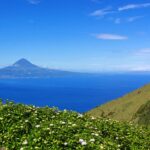 Lush green hills with flowers in the Azores, with another mountain on the horizon in the far distance.