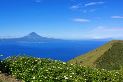 Lush green hills with flowers in the Azores, with another mountain on the horizon in the far distance.