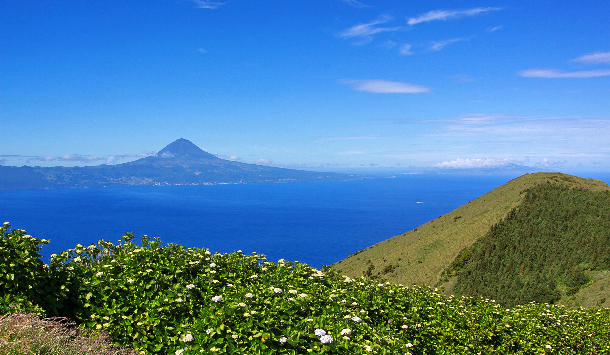 Lush green hills with flowers in the Azores, with another mountain on the horizon in the far distance.
