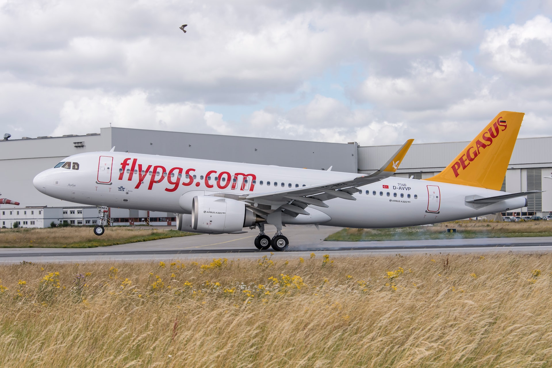 Pegasus Airlines aircraft