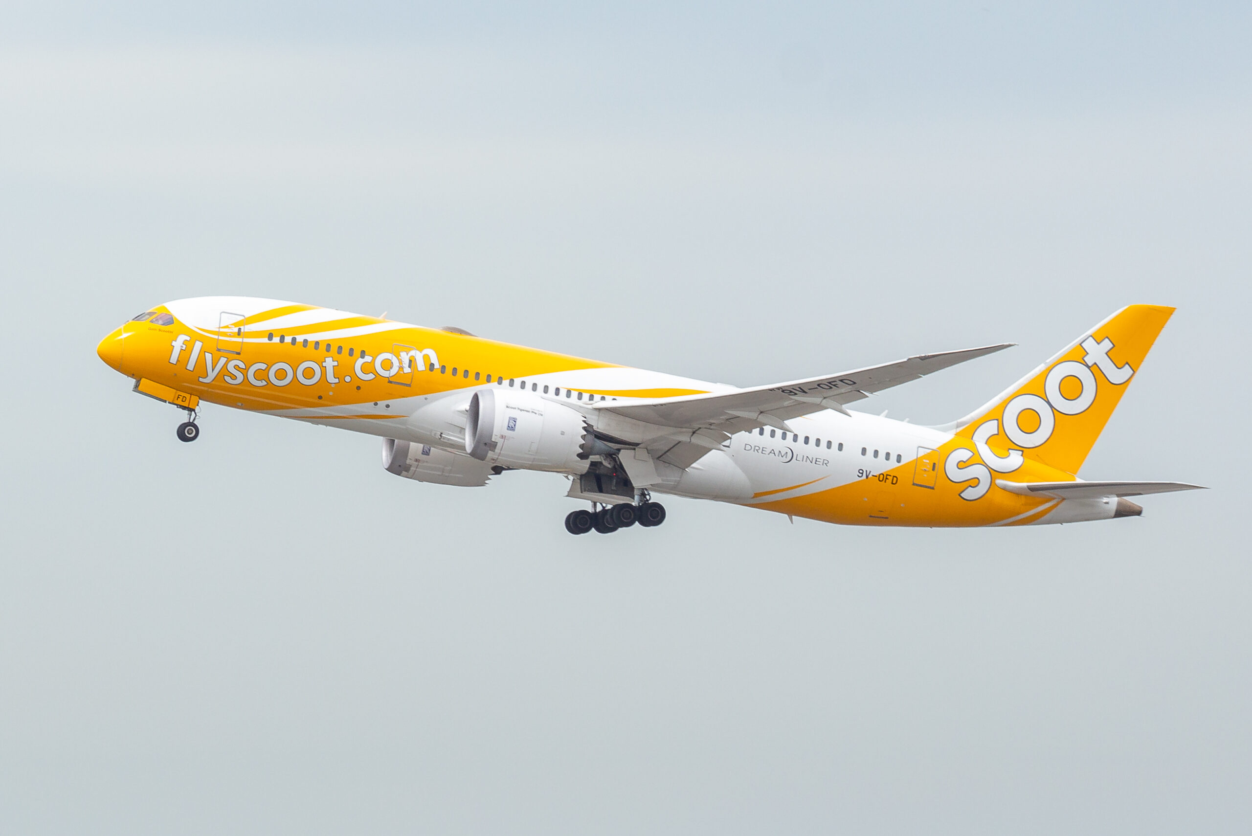 A Scoot jetliner flies in a grey sky.