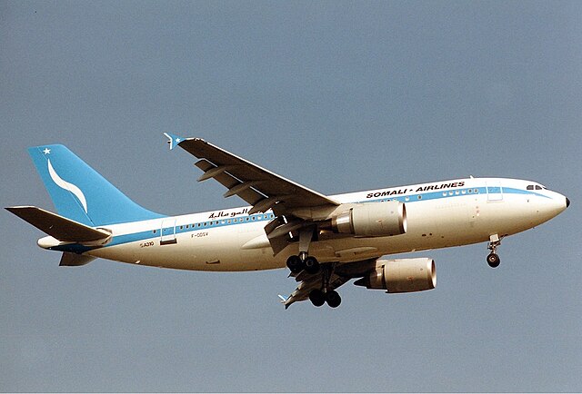 Somali Airlines Airbus during flight.