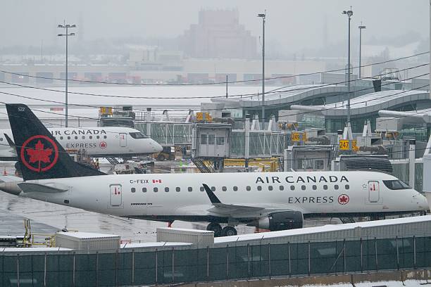 Air Canada planes are parked at gates at Toronto Pearson International Airport, in Mississauga
