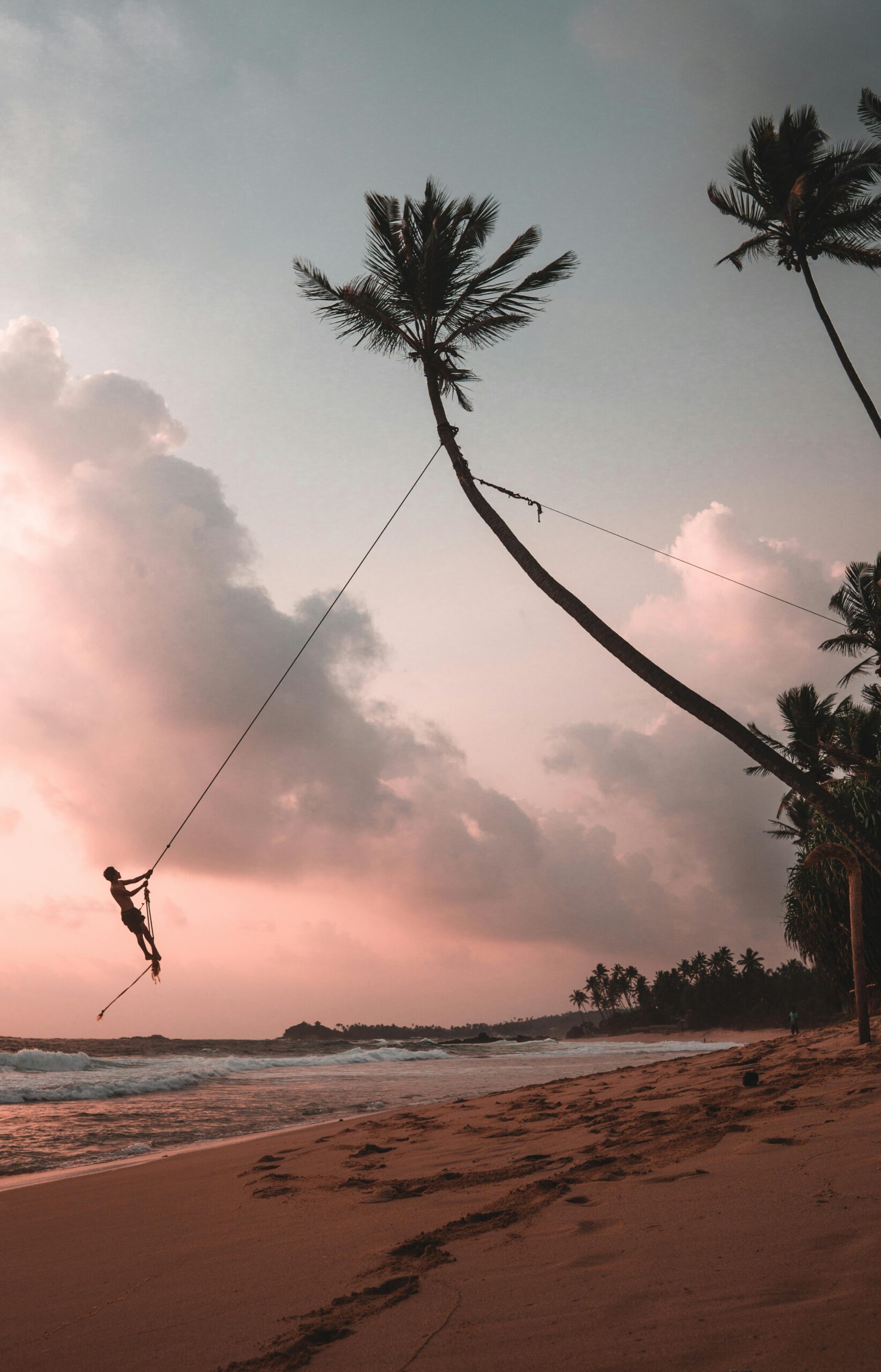 A man swinging on a rope from a palm tree with a pink sunset in the background