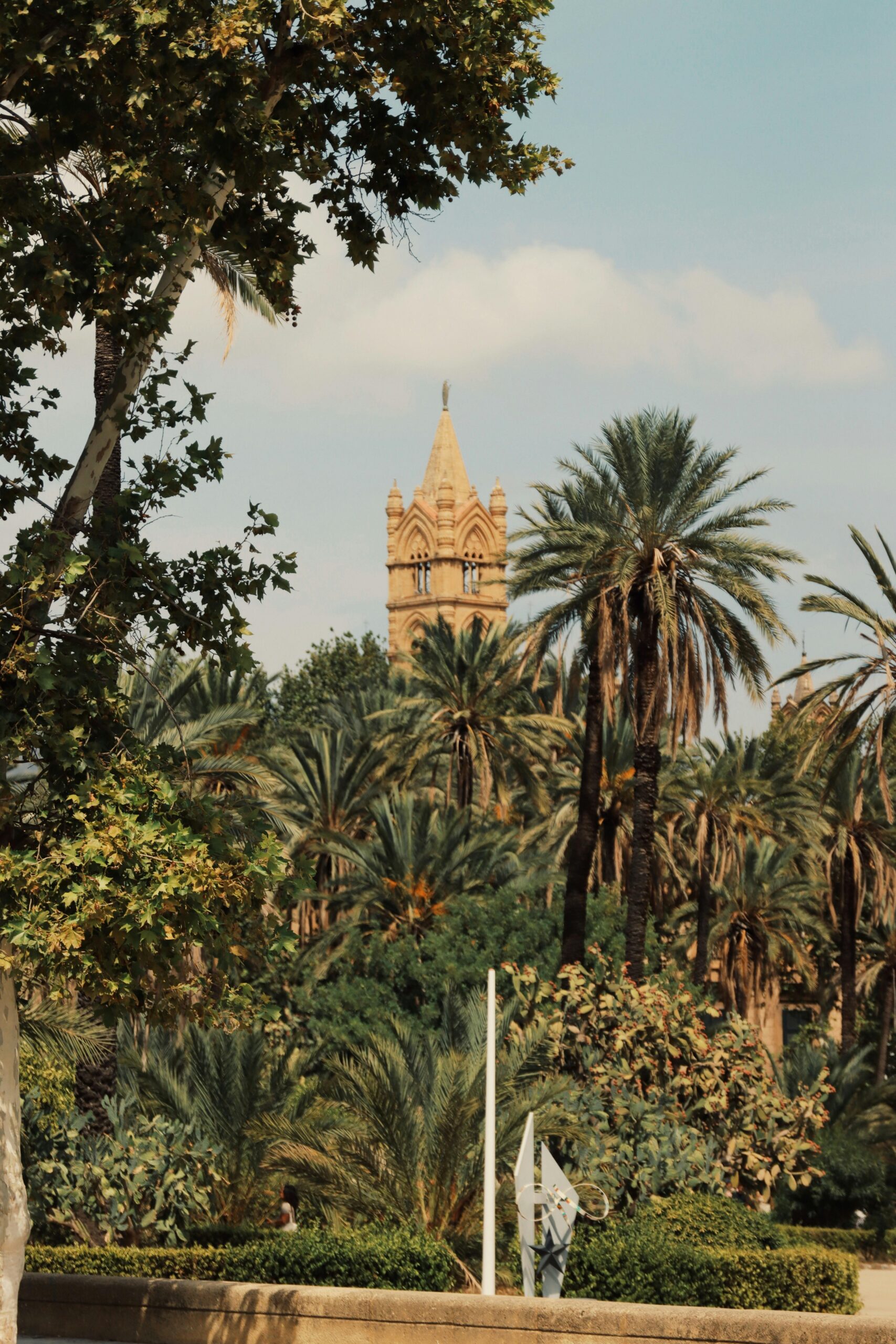 Palm trees in front of decorated buildings in Palermo