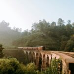 A train bridge in a green forest in Sri Lanka