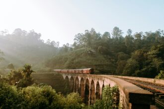 A train bridge in a green forest in Sri Lanka