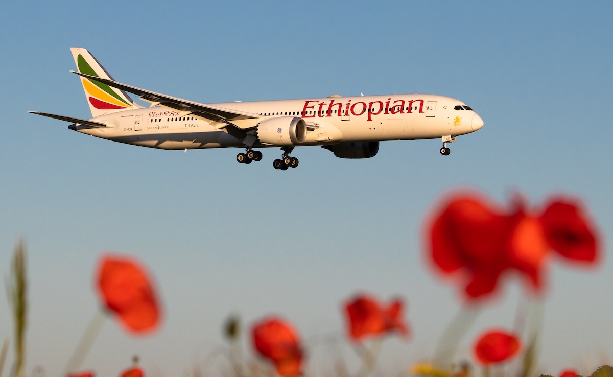 An Ethiopian Airlines widebody jet flies past flowers in the foreground, highlighting the airline’s long-haul fleet in motion