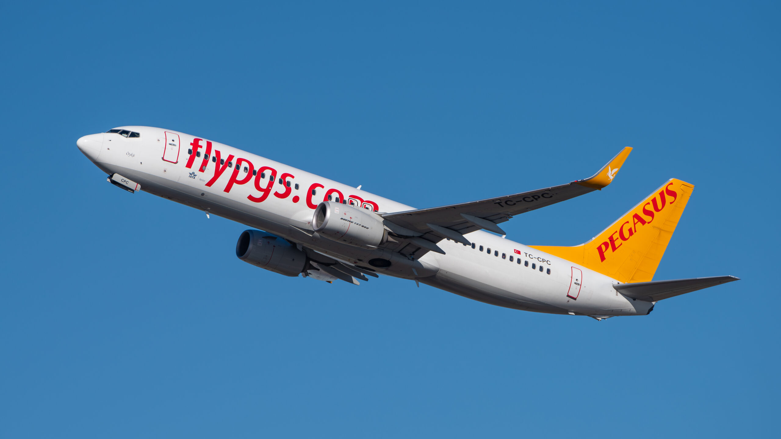 Pegasus Airlines Boeing 737 narrowbody aircraft in flight, representing low-cost airline Wi-Fi and narrowbody inflight connectivity