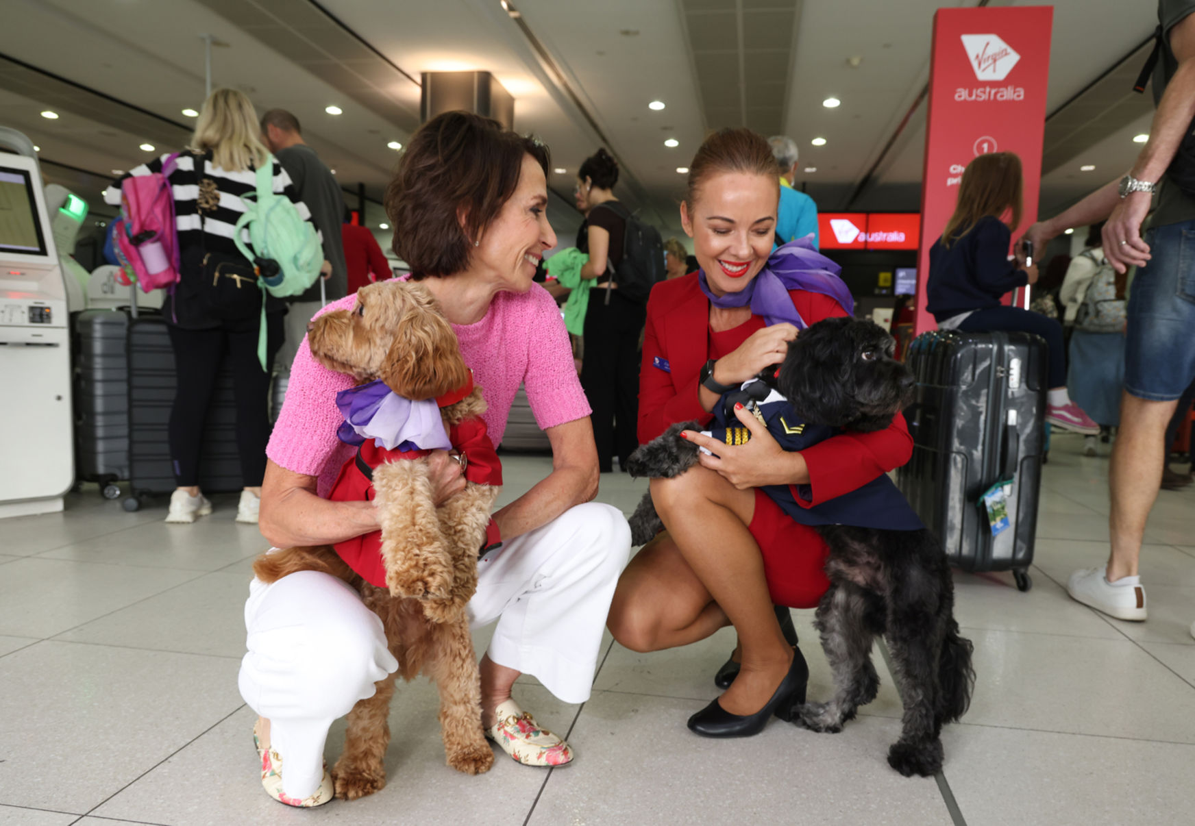 Virgin CEO with cabin crew member, two dogs dressed in Virgin Australia uniforms