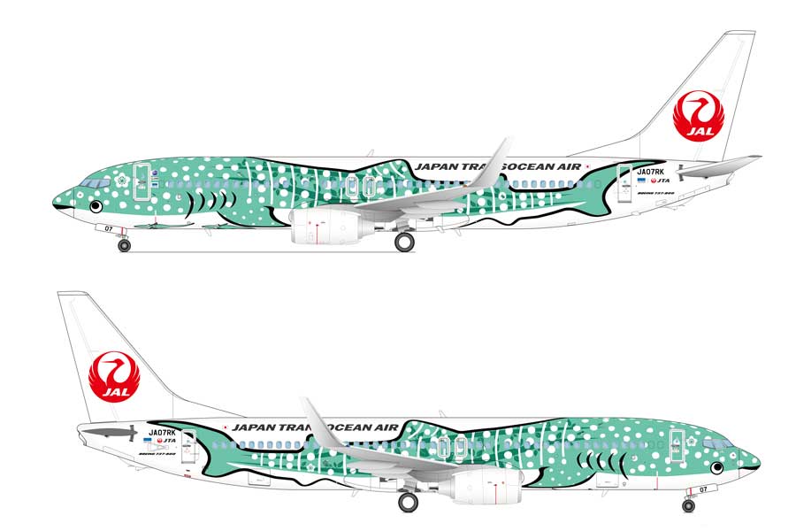 An outline of an aircraft, with a whale design.