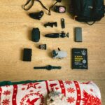 Passport, Camera, Backpack and a Cat lying on the Floor