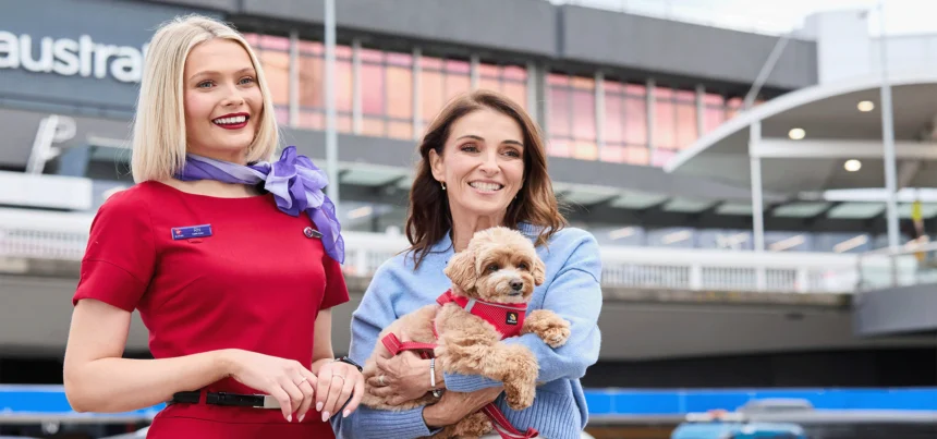 Pets in Cabin - owner holding her dog, next to a cabin crew member