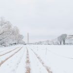 Heavy snowfall has led thoudsands flight cancellations