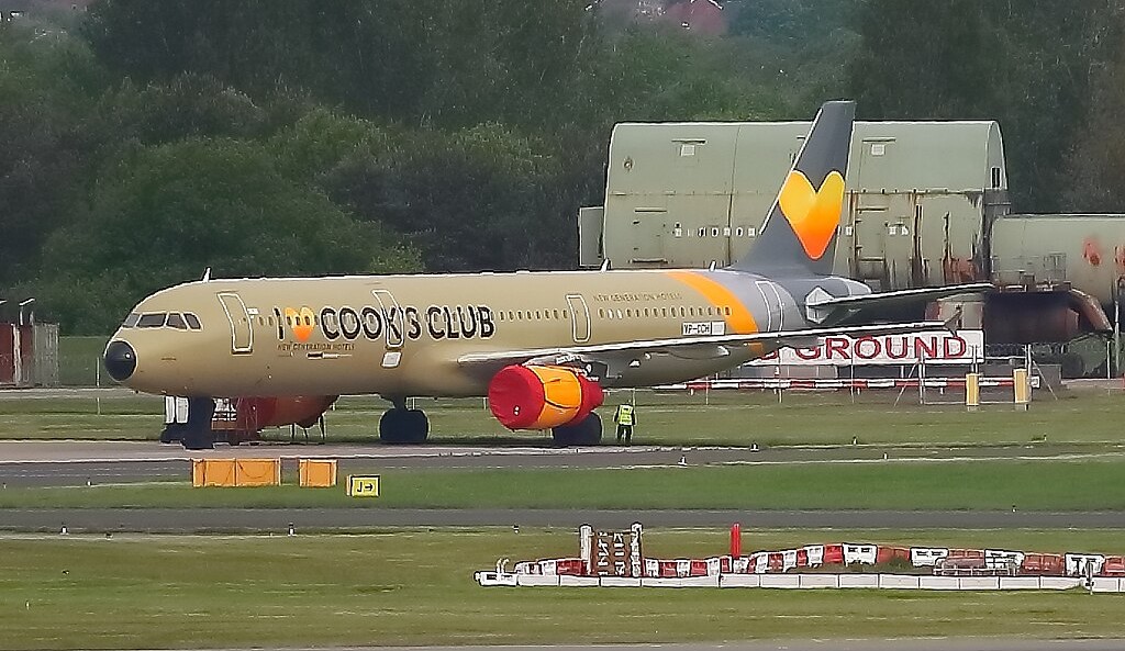 aircraft, grounded, service worker, trees.