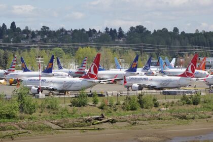 Boeing 737 aircraft grounded, green shrubbery, Turkish Airlines.