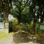 trees, gate, private road sign, mailbox