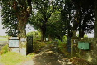 trees, gate, private road sign, mailbox