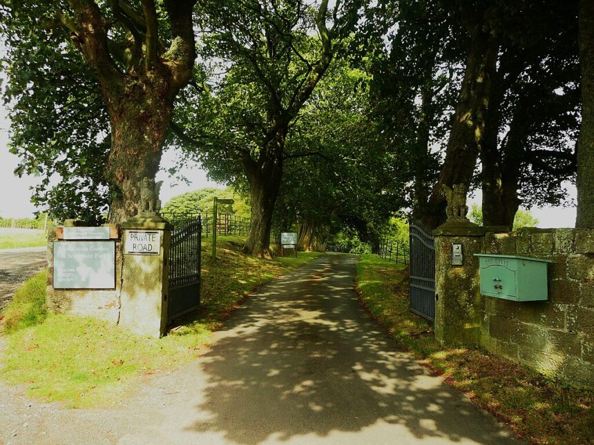 trees, gate, private road sign, mailbox